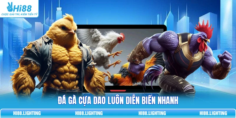 Đá Gà Cựa Dao - Đặc Điểm Của Loại Hình Giải Trí Hấp Dẫn 2 Đá gà cựa dao luôn diễn biến nhanh