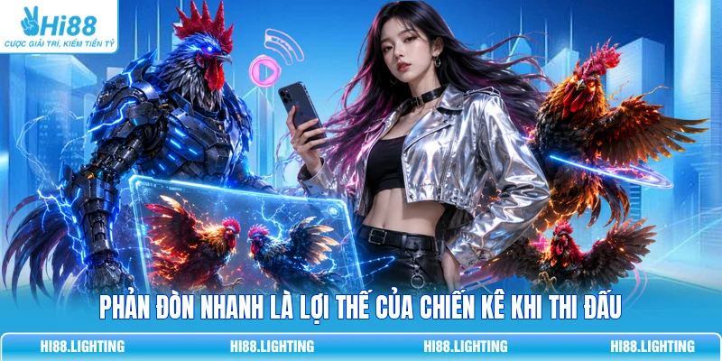 Đá Gà Cựa Dao - Đặc Điểm Của Loại Hình Giải Trí Hấp Dẫn 3 Phản đòn nhanh là lợi thế của chiến kê khi thi đấu