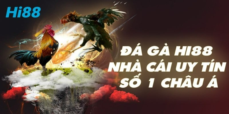 Đá gà Hi88 - Thưởng Thức Thi Đấu Và Kiếm tiền Rực Rỡ 1 Người chơi đã có thêm lựa chọn giải trí hấp dẫn từ khi đá gà HI88 có mặt