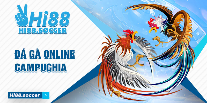 Đá Gà Online Campuchia - Cách Tham Gia Cá Độ Đá Gà Campuchia 6 Đá gà online campuchia