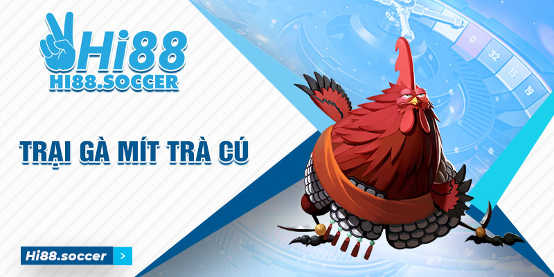 Bật Mí Trại Gà Mít Trà Cú Có Quy Mô Khủng Nhất Tại Miền Tây 7 Trại gà mít trà cú
