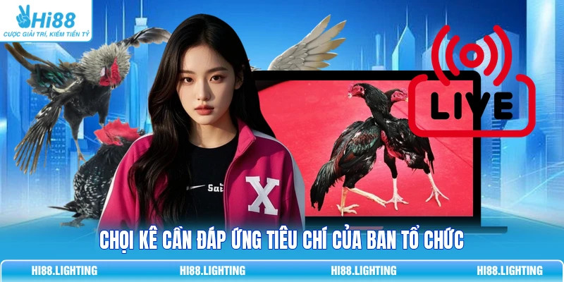 Đá Gà Thomo Là Gì? Tổng Quan Hình Thức Thi Đấu Hot 2 Chọi kê cần đáp ứng tiêu chí của ban tổ chức