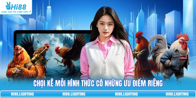 Đá Gà Cựa Tròn Là Gì? Đặc Điểm Của Hình Thức Thi Đấu 2 Chọi kê mỗi hình thức có những ưu điểm riêng