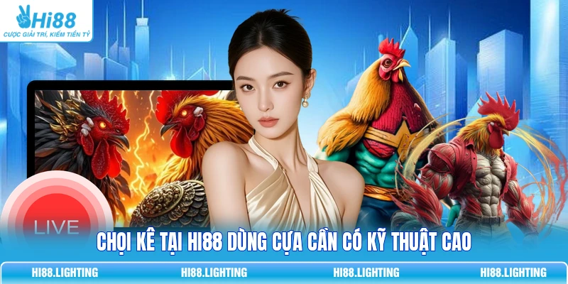 Đá Gà Cựa Tròn Là Gì? Đặc Điểm Của Hình Thức Thi Đấu 3 Chọi kê tại Hi88 dùng cựa cần có kỹ thuật cao