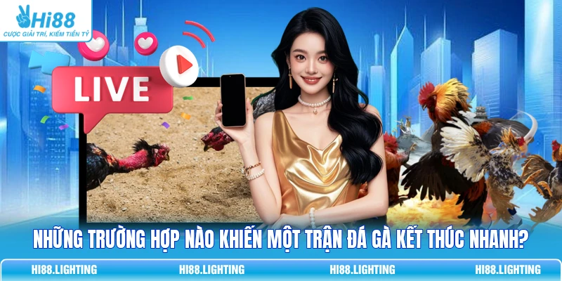 Tình Huống Khiến Trận Đấu Đá Gà Trực Tuyến Kết Thúc? 3 Tình Huống Khiến Trận Đấu Đá Gà Trực Tuyến Kết Thúc?