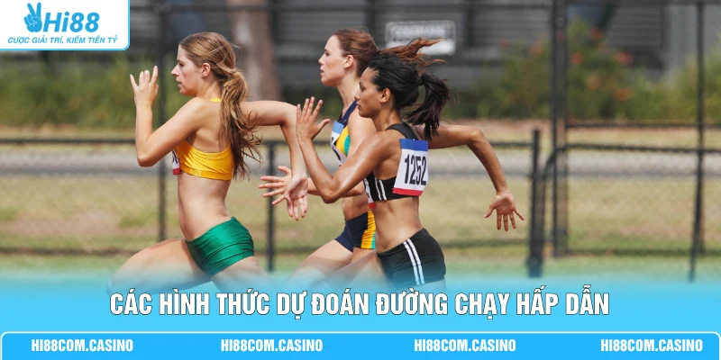Cá Cược Điền Kinh - 3 Bí Kíp Soi Kèo Săn Thưởng Lớn Nhất 1 Các hình thức dự đoán đường chạy hấp dẫn
